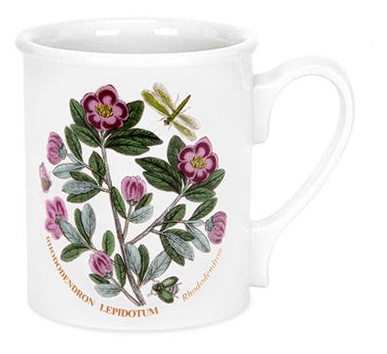 Rhododendron Lepidotum Rhododendron Tasse – Sanderhouse