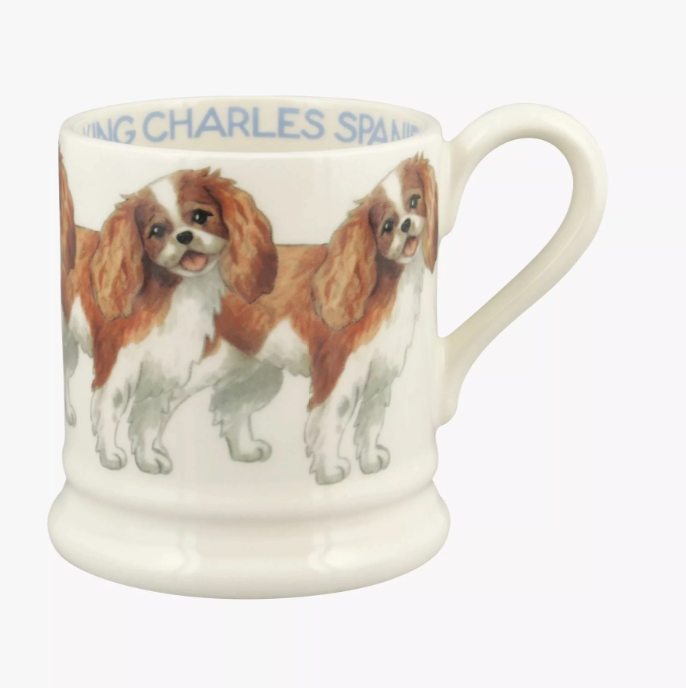 Krus - King Charles Spaniel