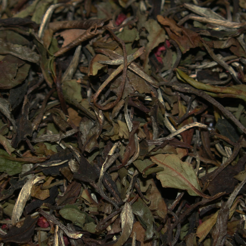Himbeer-Vanille-Tee – Weiß